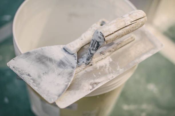 Best Forensic Mold Investigation  in Giddings, TX